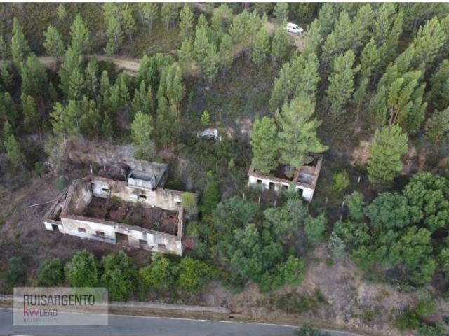 Terreno venda em Castelo Branco