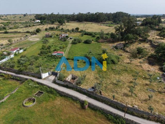 Terreno venda em Castelo Branco