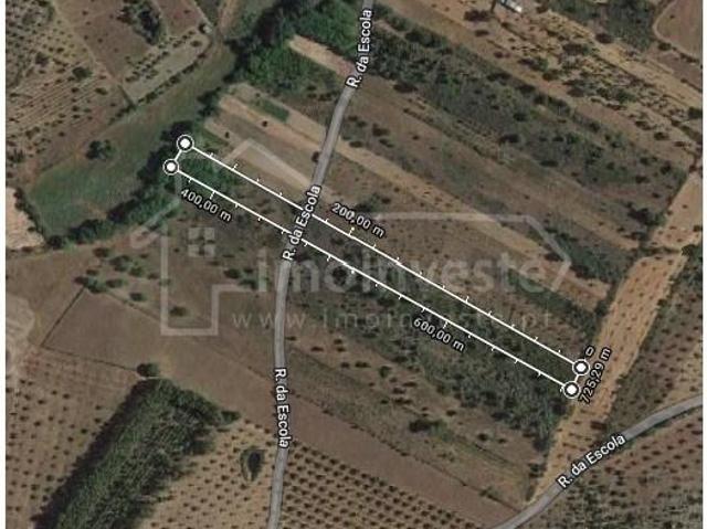 Terreno venda em Castelo Branco
