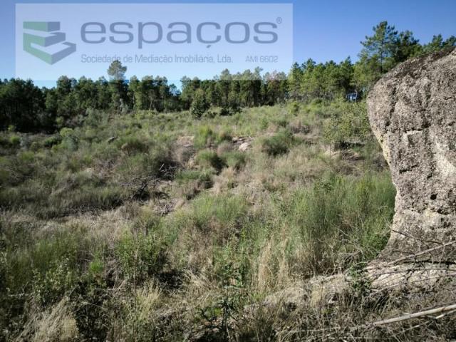 Terreno venda em Salgueiro do Campo, Castelo Branco