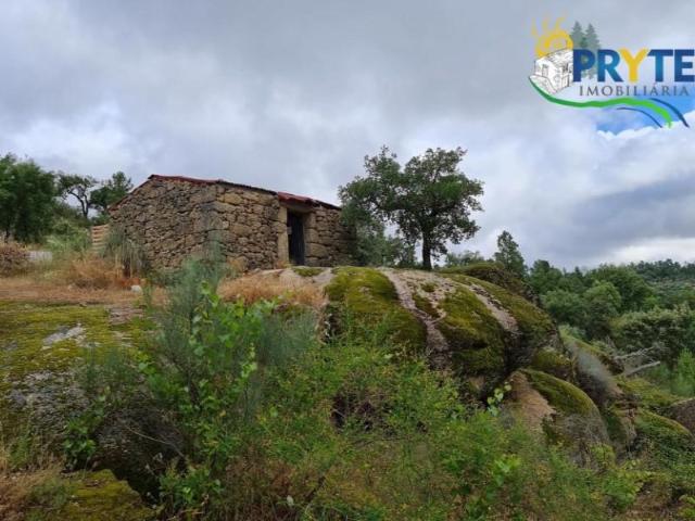Terreno venda em Castelo Branco