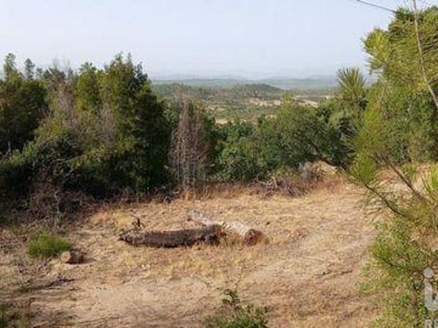 Terreno venda em Castelo Branco