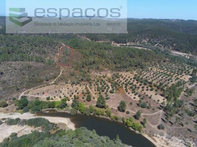 Terreno venda em Castelo Branco