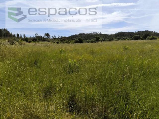 Terreno venda em Castelo Branco