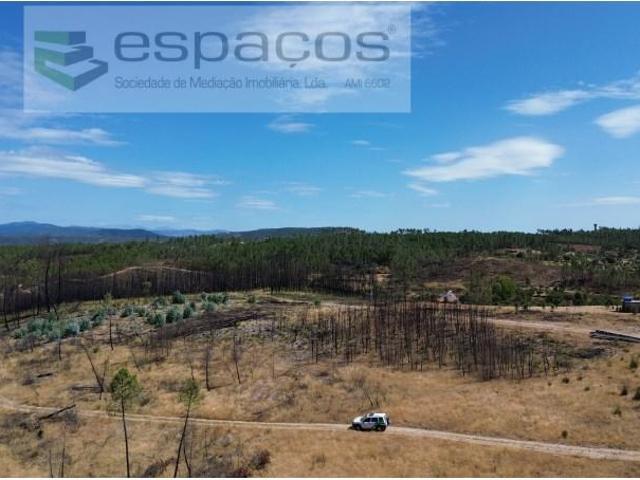 Terreno venda em Castelo Branco