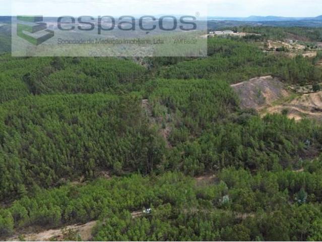 Terreno venda em Castelo Branco