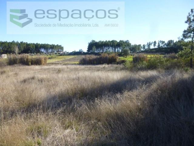 Terreno venda em Castelo Branco
