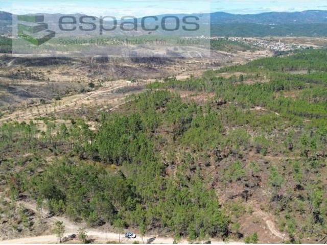 Terreno venda em Santo André das Tojeiras, Castelo Branco