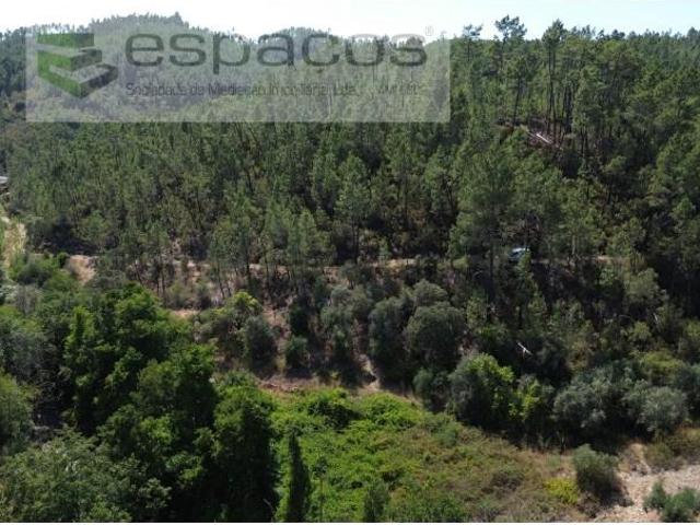 Terreno venda em Castelo Branco