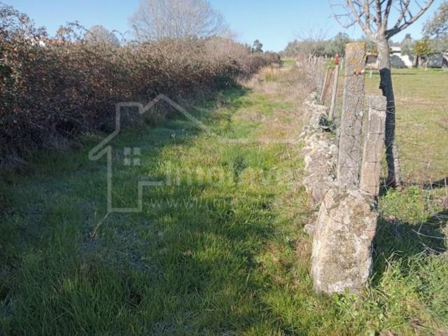 Terreno venda em Castelo Branco