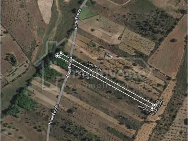 Terreno venda em Castelo Branco
