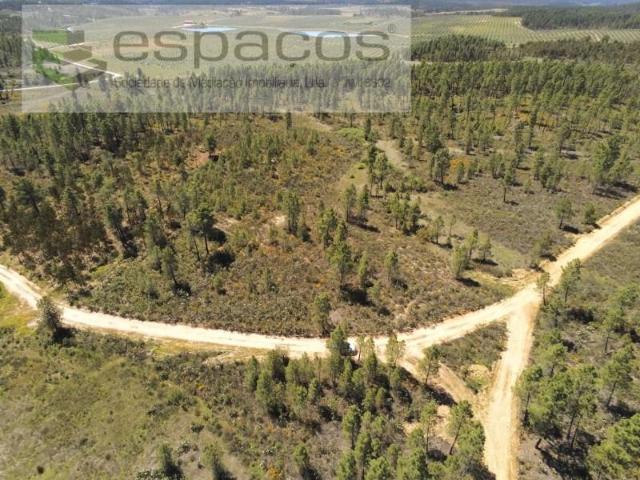 Terreno venda em Sarzedas, Castelo Branco