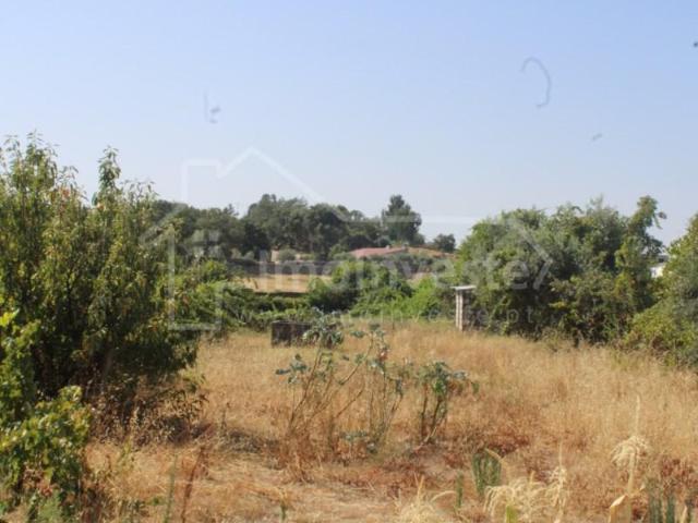 Terreno venda em Castelo Branco