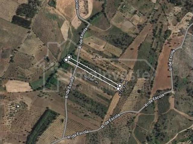 Terreno venda em Castelo Branco
