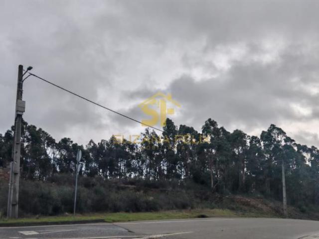 Terreno venda em Castelo Branco