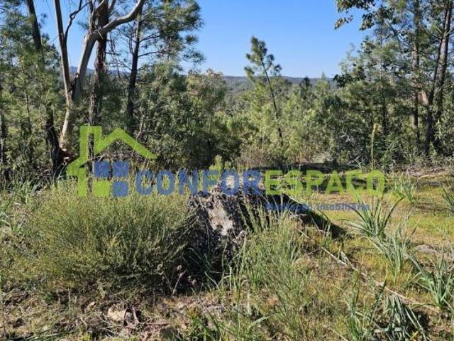 Terreno venda em Castelo Branco