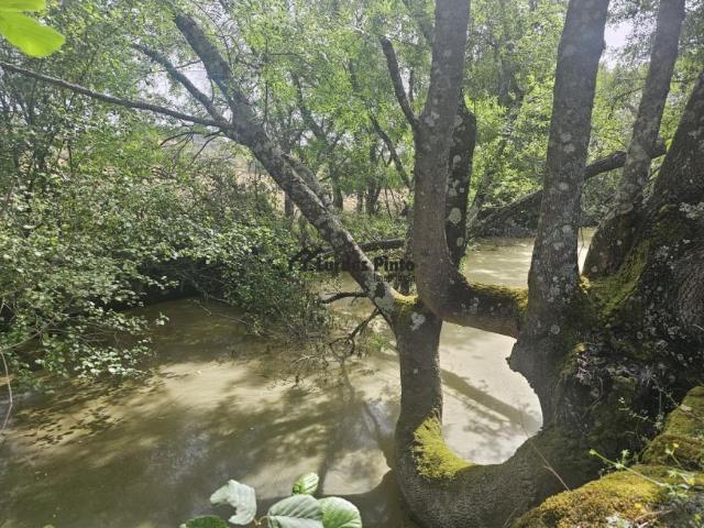 Terreno venda em Castelo Branco