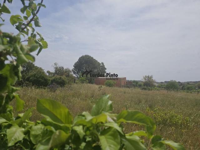 Terreno venda em Castelo Branco