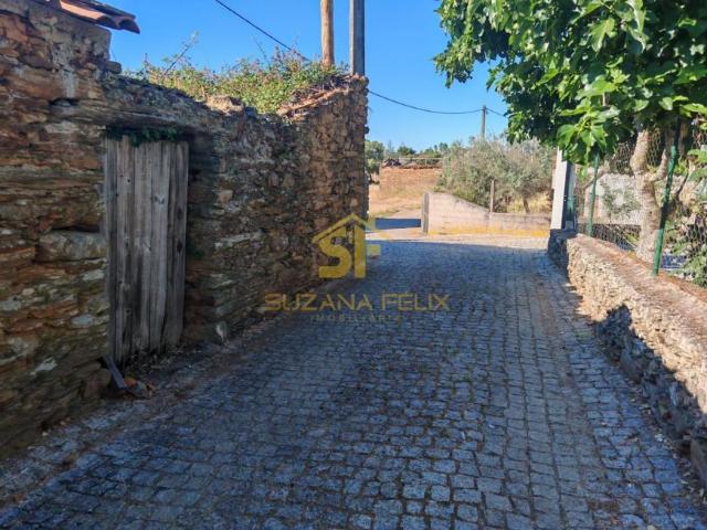 Terreno venda em Castelo Branco