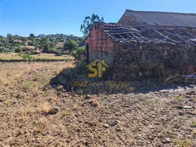 Terreno venda em Castelo Branco