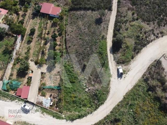 Terreno venda em Castelo Branco