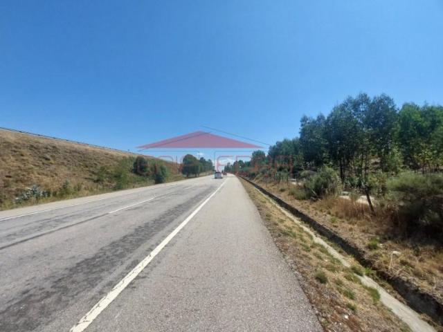 Terreno venda em Castelo Branco