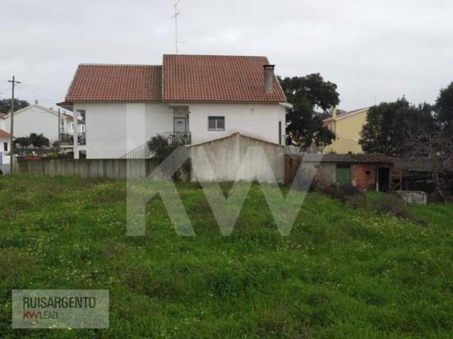 Terreno venda em Castelo Branco