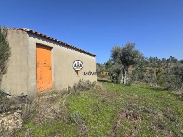 Terreno venda em Castelo Branco