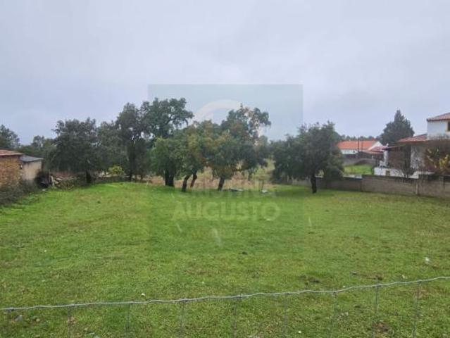 Terreno venda em Castelo Branco