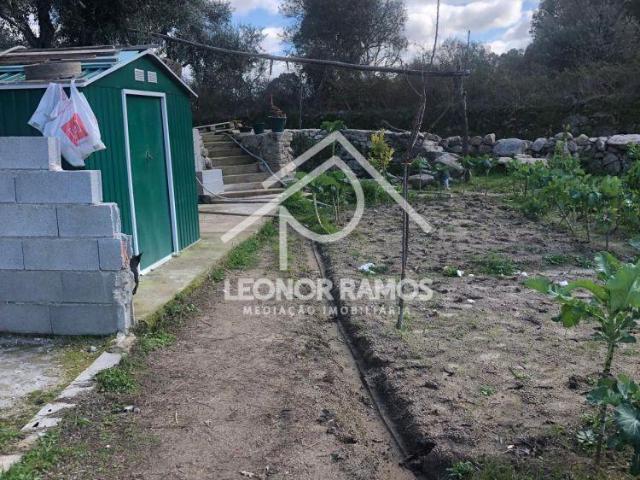 Terreno venda em Castelo Branco