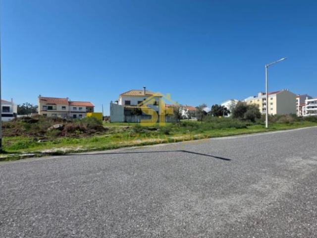 Terreno venda em Castelo Branco