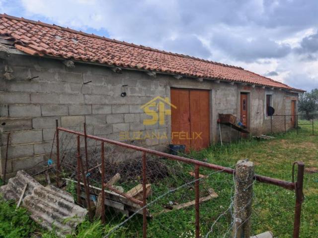 Terreno venda em Castelo Branco