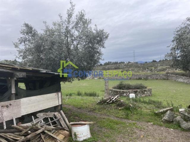 Terreno venda em Castelo Branco