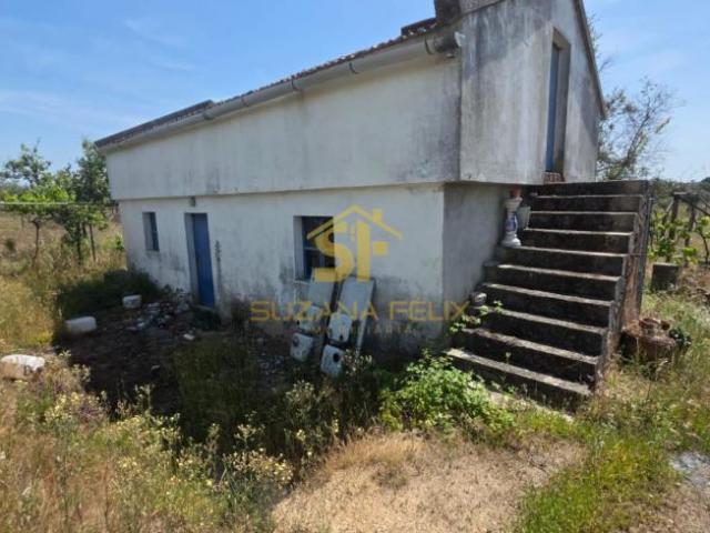 Terreno venda em Castelo Branco