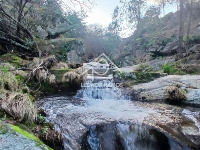 Terreno venda em Castelo Branco