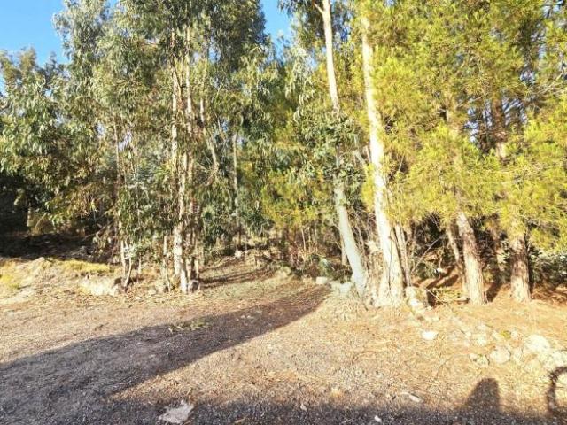 Terreno venda em Alcains, Castelo Branco