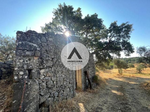 Terreno venda em Castelo Branco
