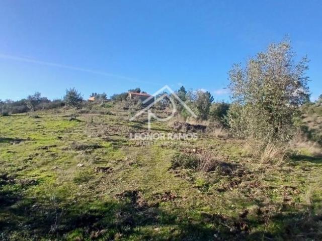 Terreno venda em Castelo Branco