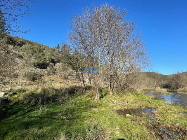 Terreno venda em Castelo Branco