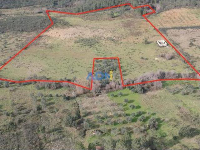 Terreno venda em Castelo Branco