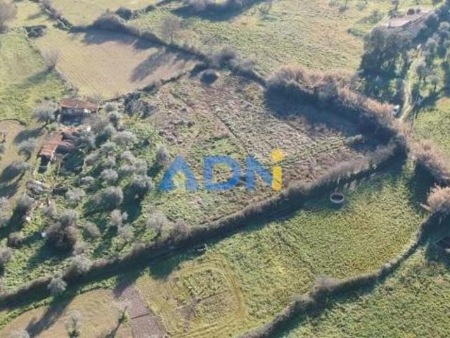 Terreno venda em Castelo Branco