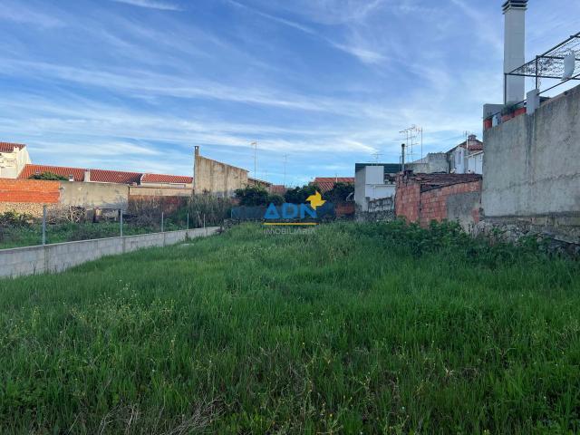 Terreno venda em Castelo Branco