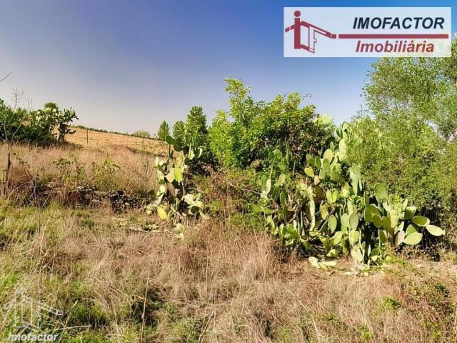 Terreno venda em Castelo Branco