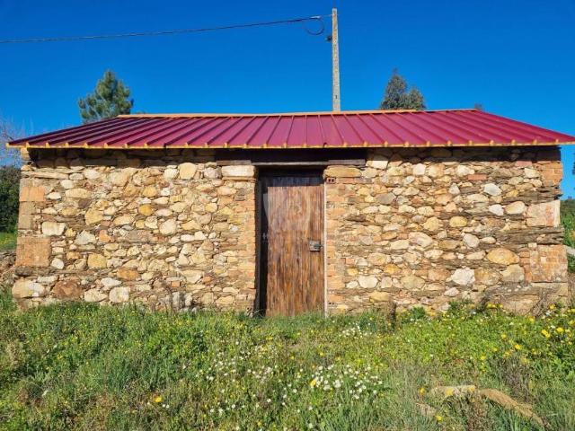 Terreno venda em Castelo Branco
