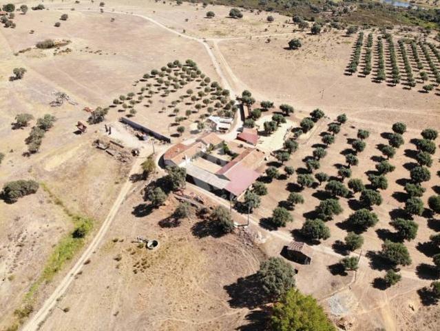 Terreno venda em Castelo Branco