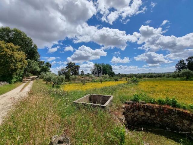 Terreno venda em Castelo Branco