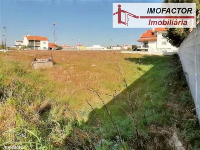 Terreno venda em Castelo Branco