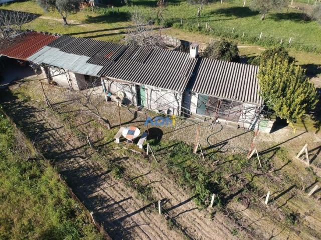 Casa venda em Castelo Branco