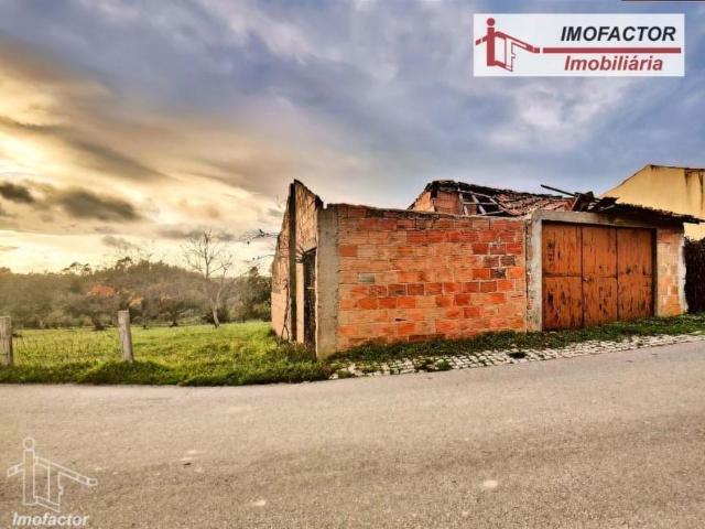 Terreno venda em Castelo Branco