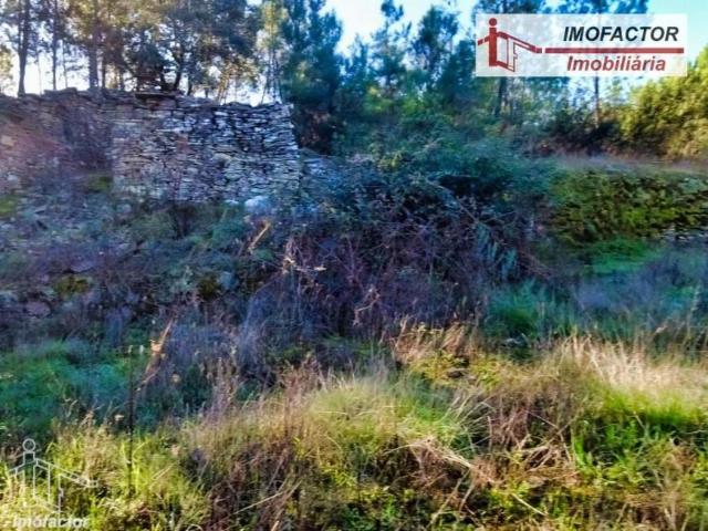 Terreno venda em Castelo Branco